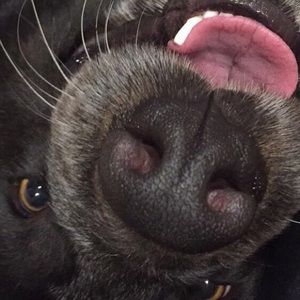 Meet your Posher, Brezzy